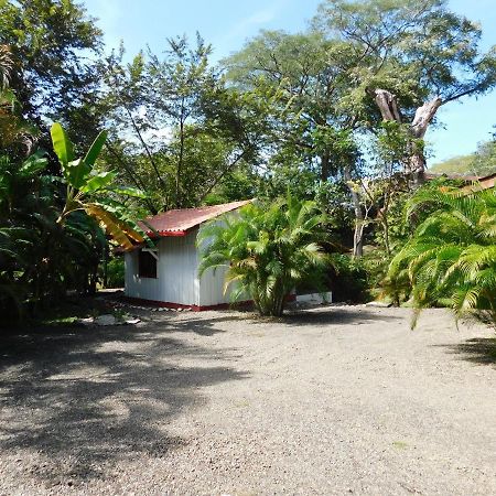 Villasjungle 1 Самара Екстер'єр фото