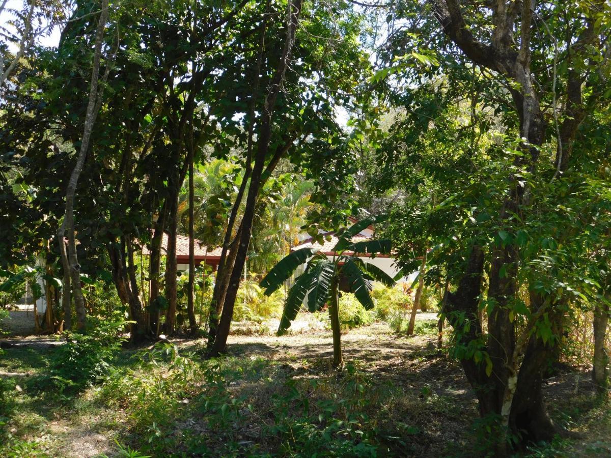 Villasjungle 1 Самара Екстер'єр фото