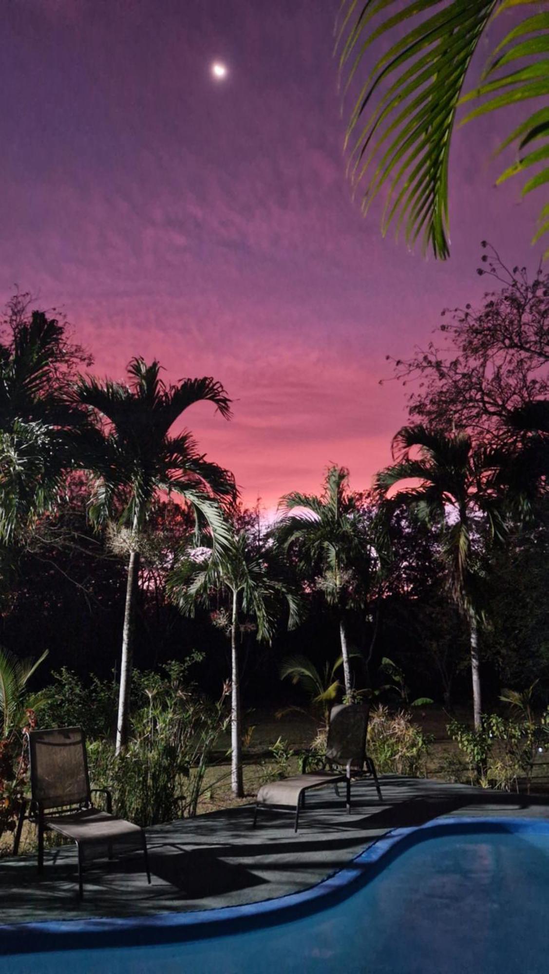 Villasjungle 1 Самара Екстер'єр фото