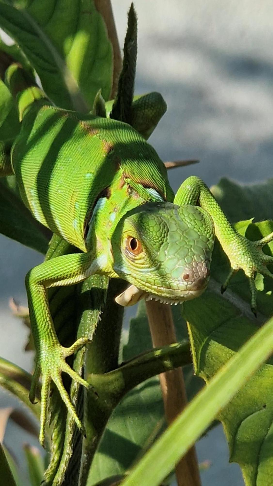 Villasjungle 1 Самара Екстер'єр фото