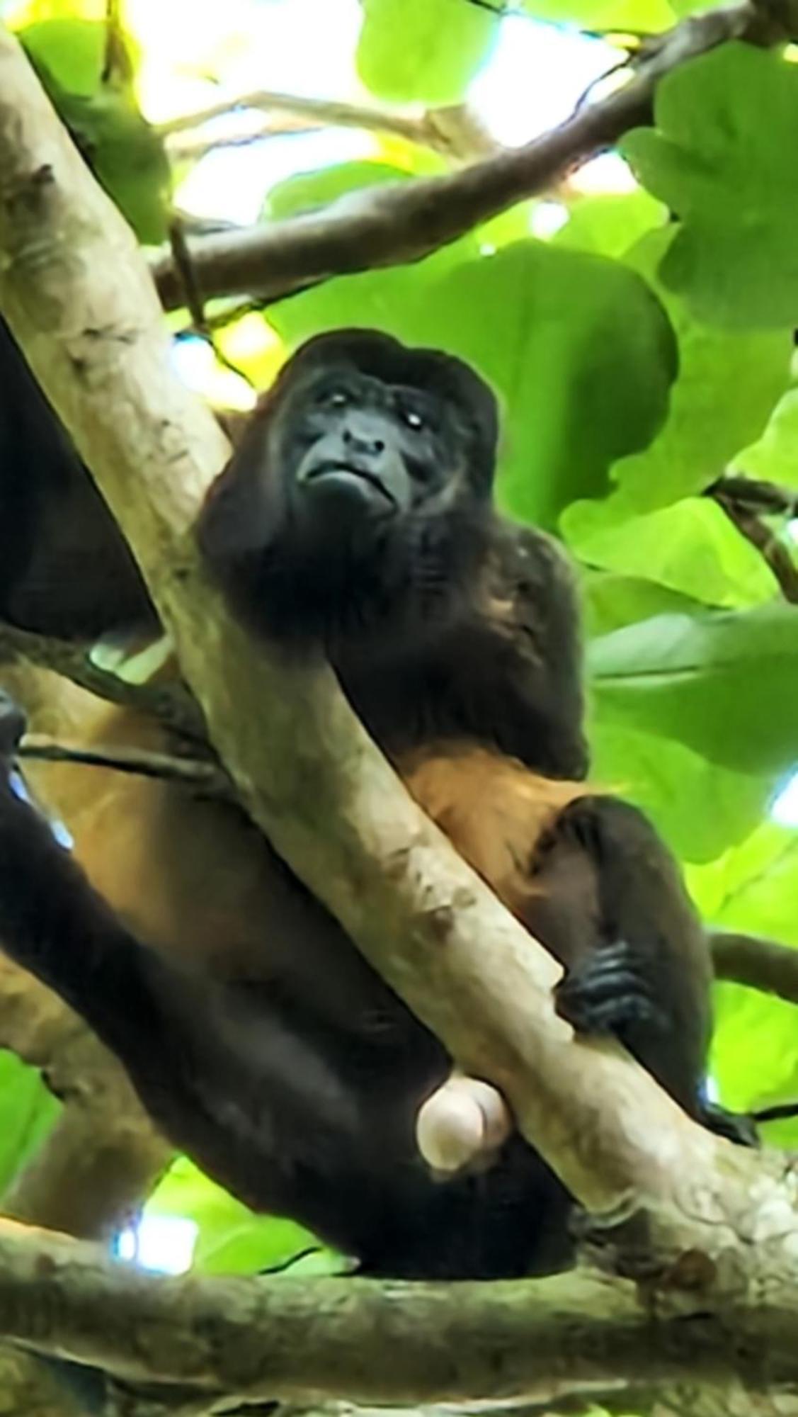 Villasjungle 1 Самара Екстер'єр фото