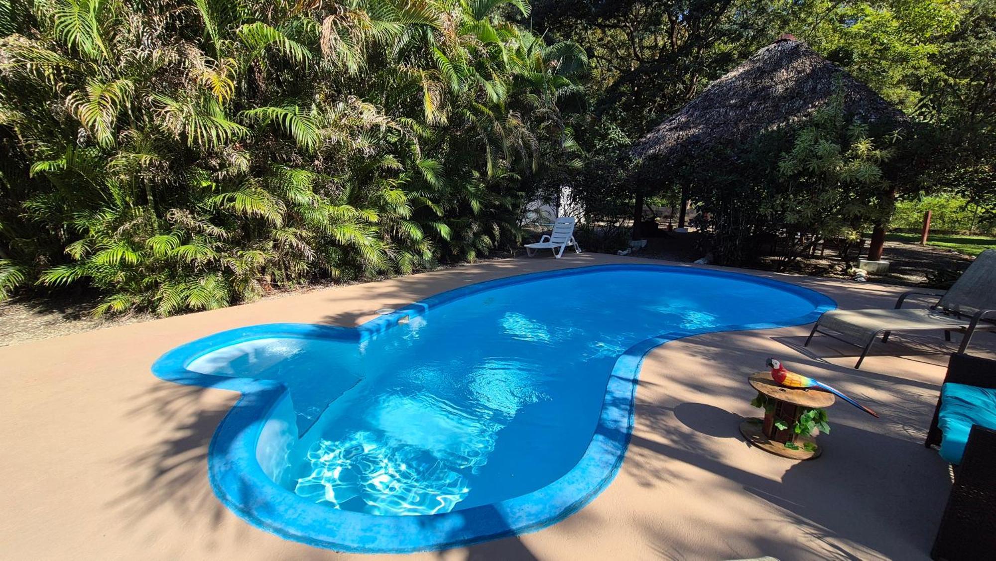 Villasjungle 1 Самара Екстер'єр фото
