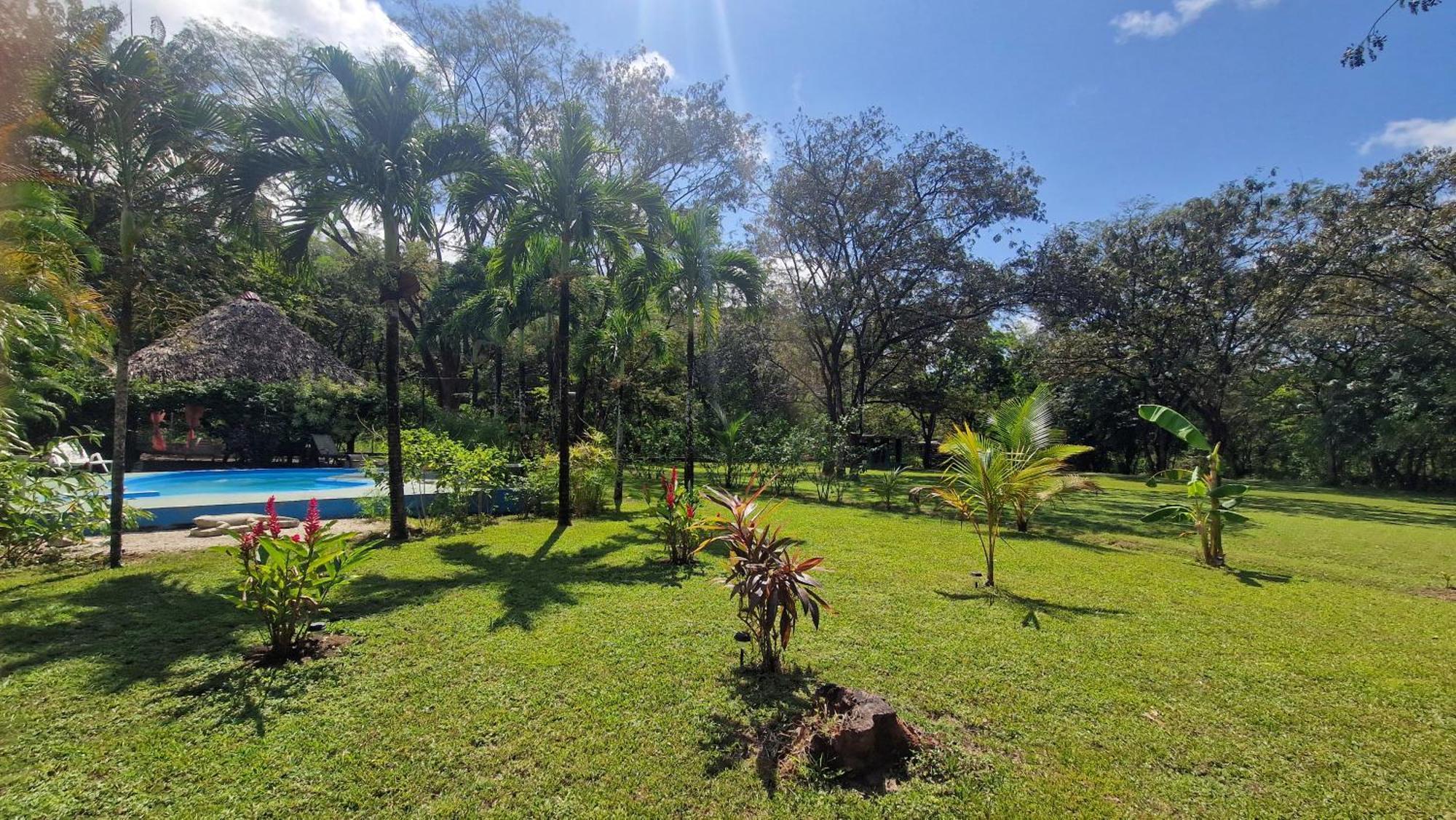 Villasjungle 1 Самара Екстер'єр фото